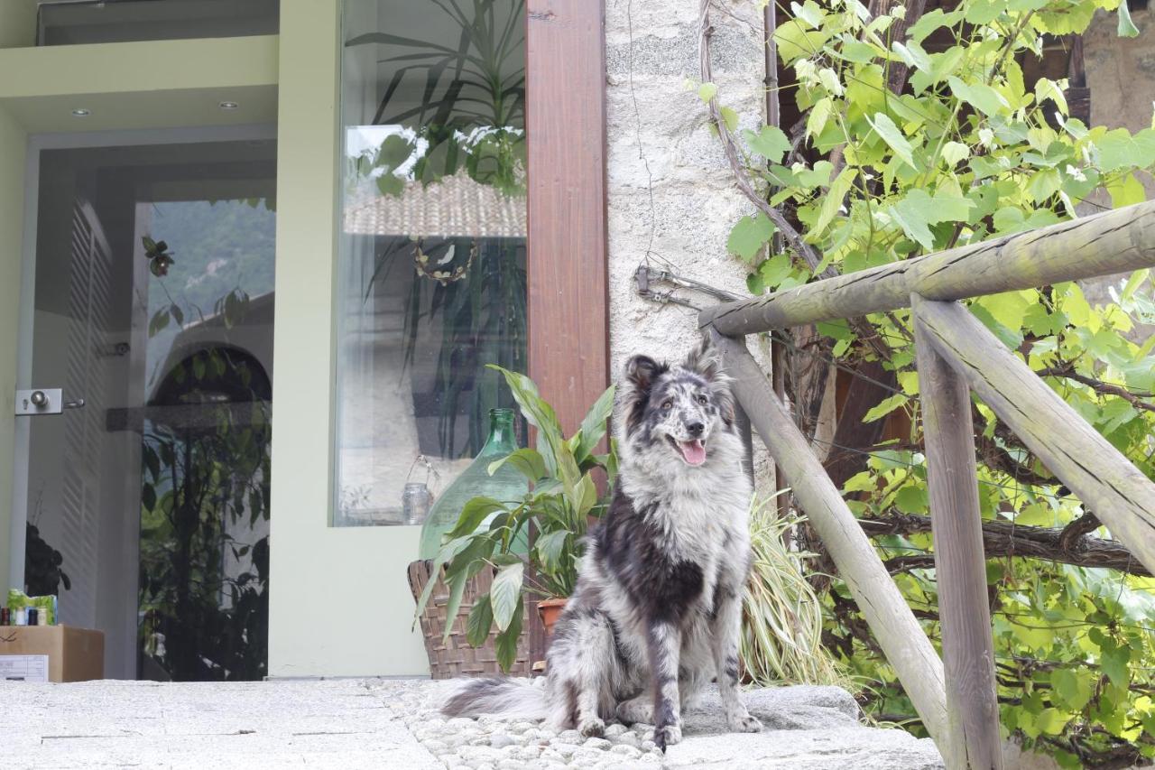 B&B Casa Gori Madice Kültér fotó
